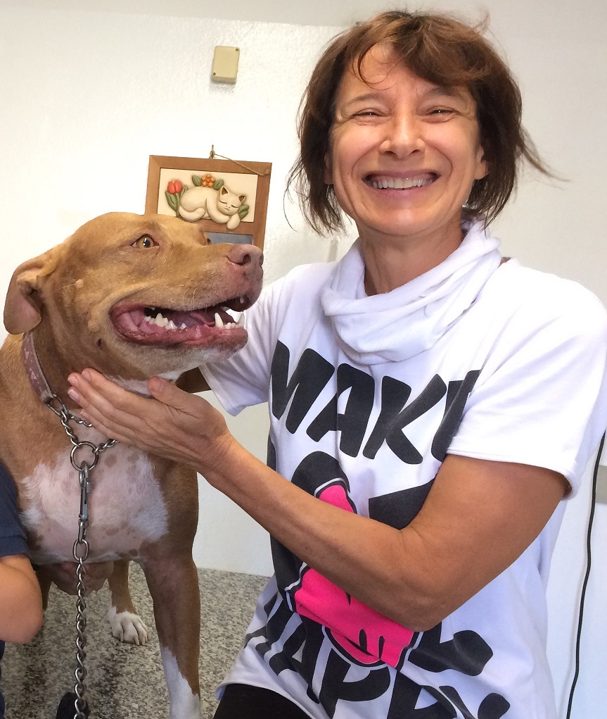 Monica nel suo ambulatorio veterinario con una pitbull (Cesena)