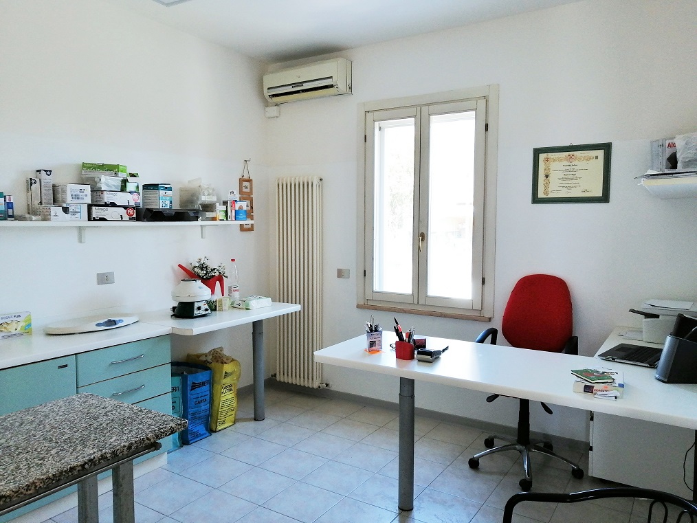 Ambulatorio Veterinario Monica Filippi (sala visite, lato scrivania)