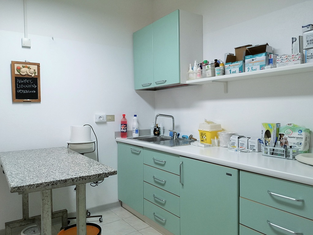 Ambulatorio Veterinario Monica Filippi (sala visite, lato tavolo)