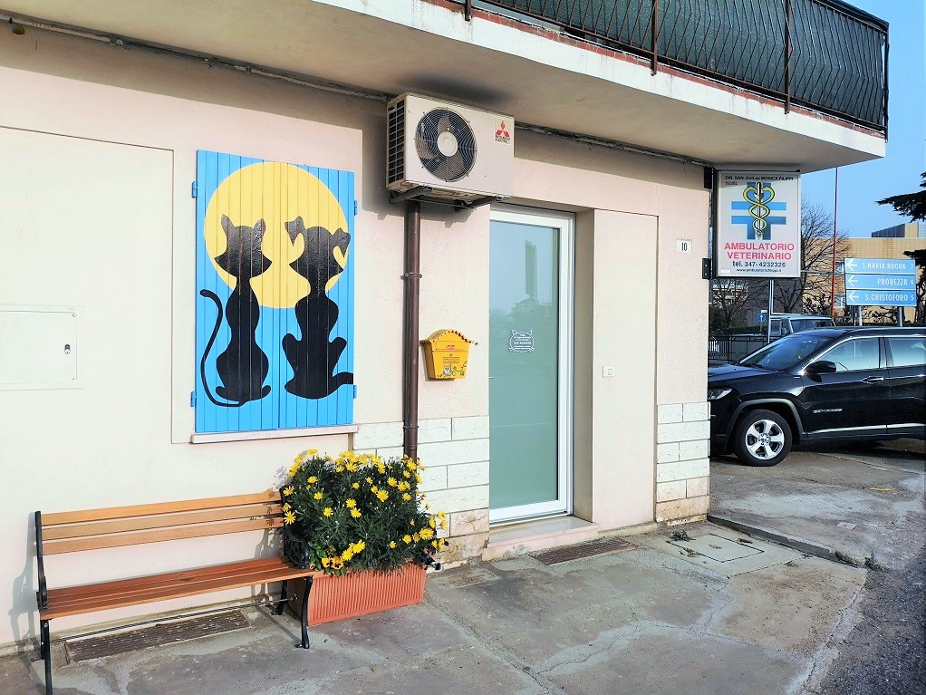 Ambulatorio Veterinario Monica Filippi in via San Cristoforo 10 a Cesena