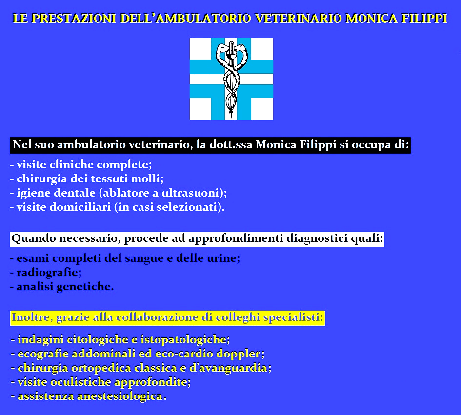 Prestazioni Ambulatorio Veterinario Monica Filippi