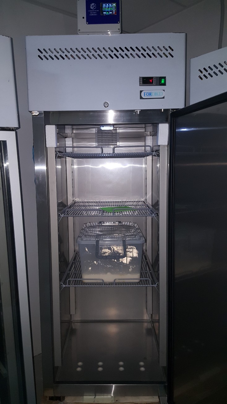 FERMA-LIEVITA ACCIAIO INOX MOD. TN650BT