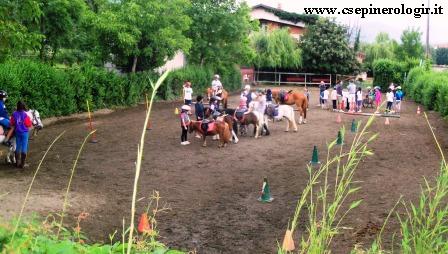 Percorso Educativo-Culturale e Sportivo: Estate Ragazzi  