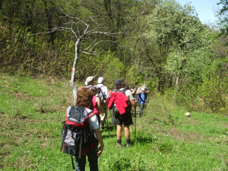 Aggiornamento ORTAM Frabosa Sottana 11-12 maggio 2013