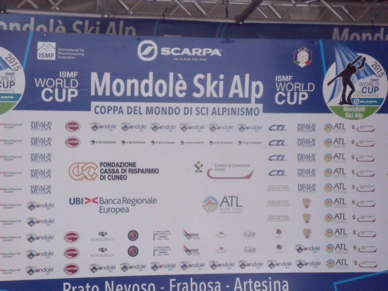 WORLD CUP SKI ALP 2015