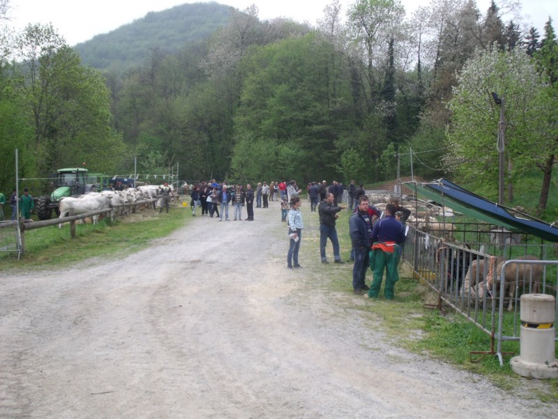 FIERA DI SAN GIORGIO 2015 FRABOSA SOTTANA