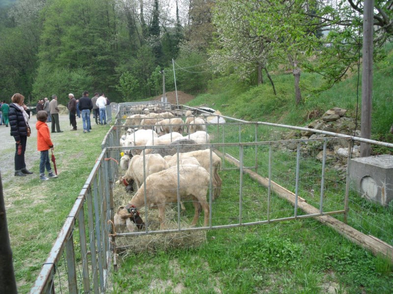 FIERA DI SAN GIORGIO 2015 FRABOSA SOTTANA