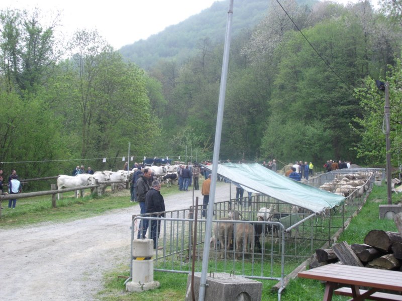 FIERA DI SAN GIORGIO 2015 FRABOSA SOTTANA