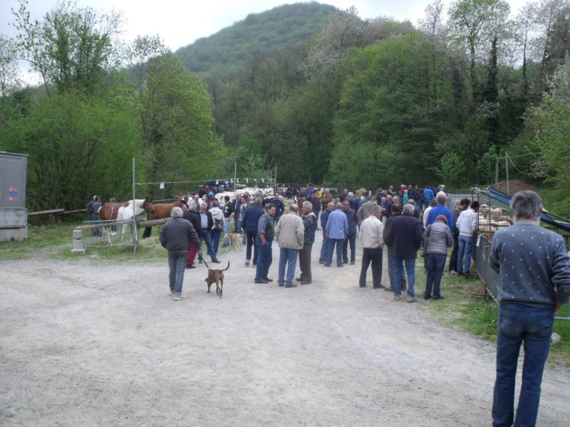 FIERA DI SAN GIORGIO 2015 FRABOSA SOTTANA