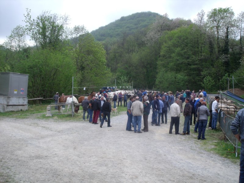 FIERA DI SAN GIORGIO 2015 FRABOSA SOTTANA