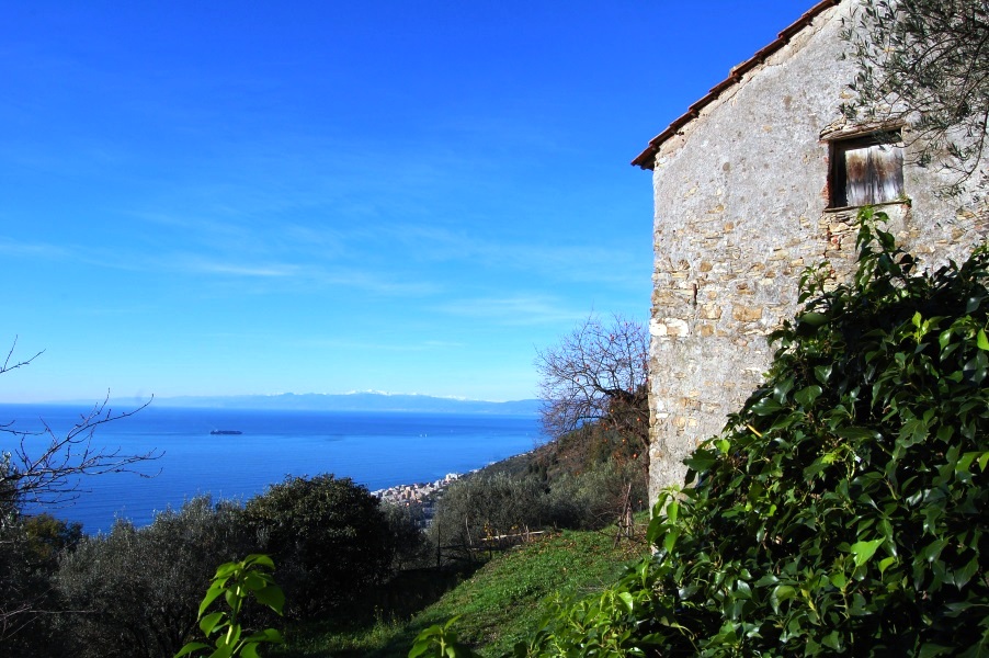 Casolare in via Tasso (f.Polotto)