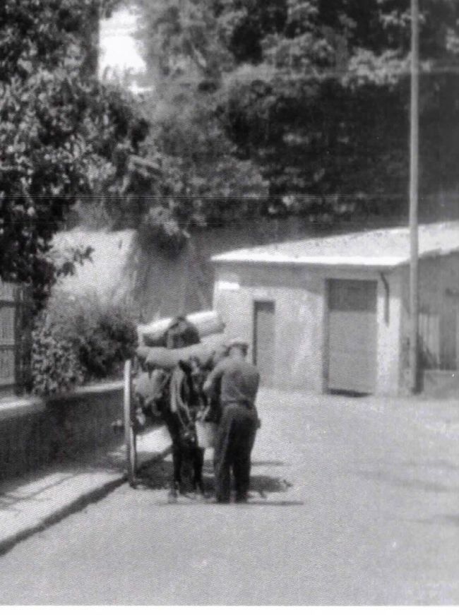 Un mulattiere a Capolungo (1932)